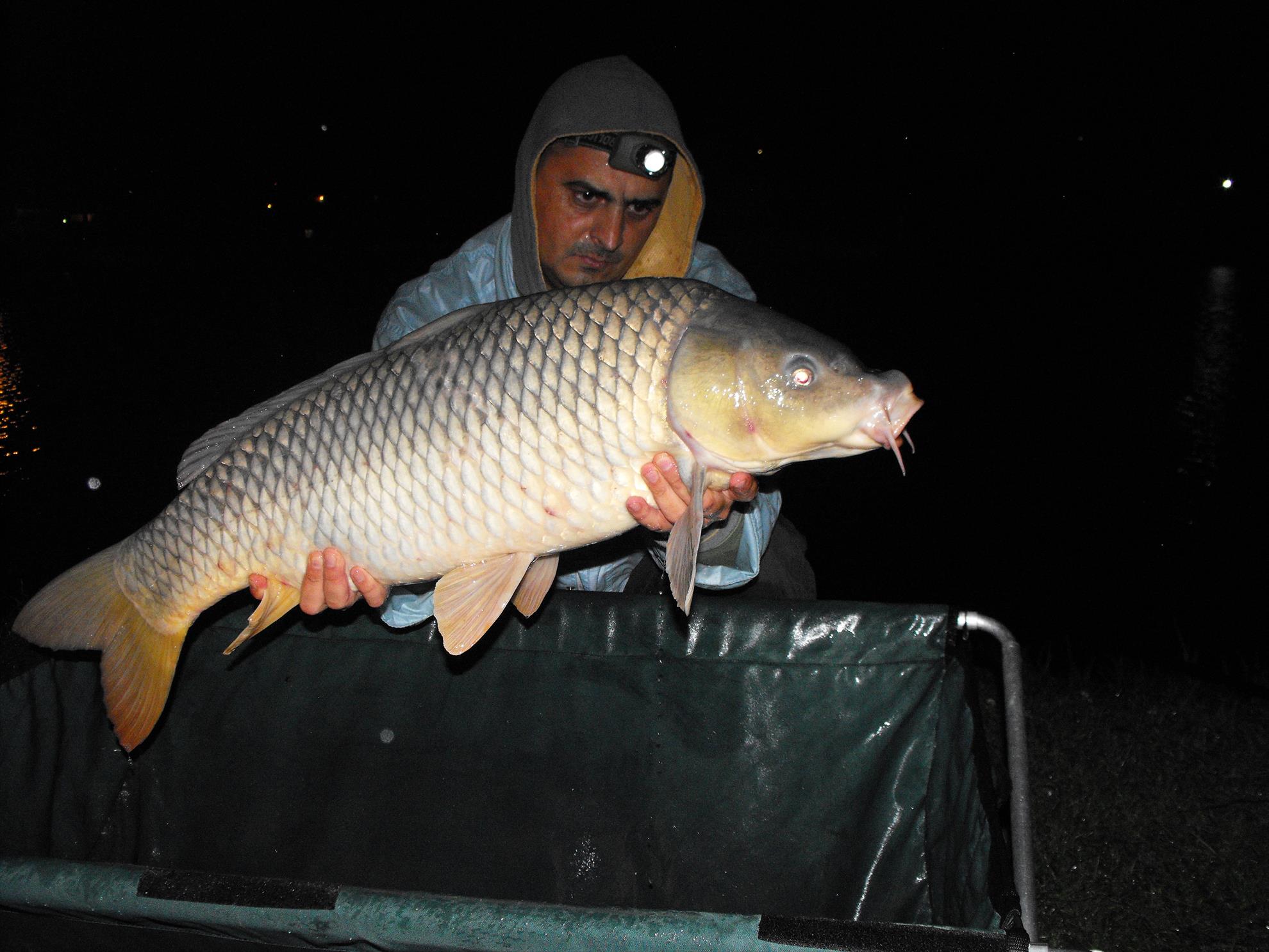 Moara Vlasiei 2 17 - 18 octombrie 2014 - dscf1004.JPG